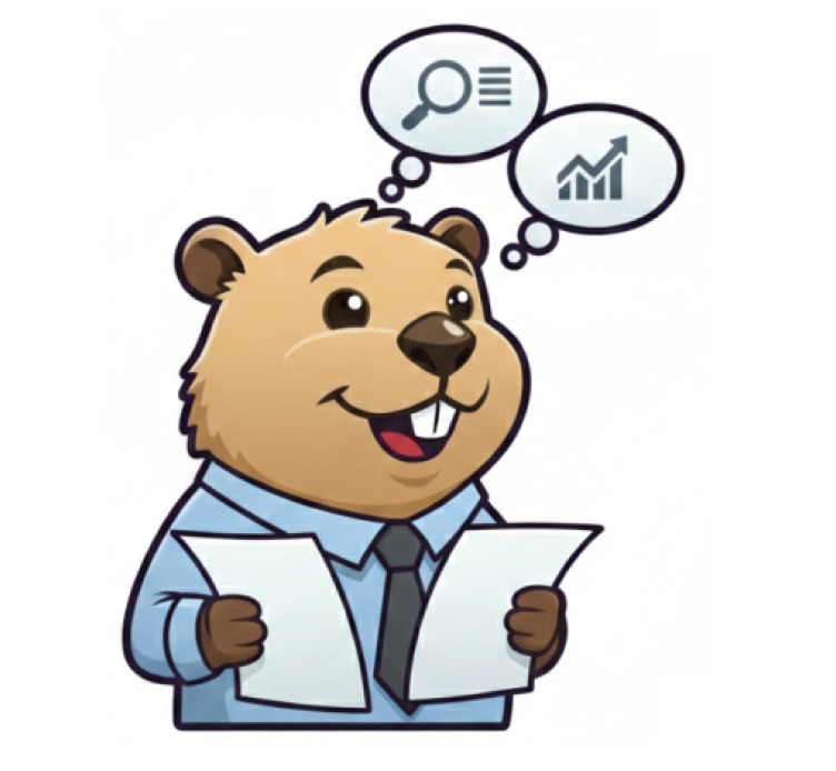 Customer Interviews Summariser